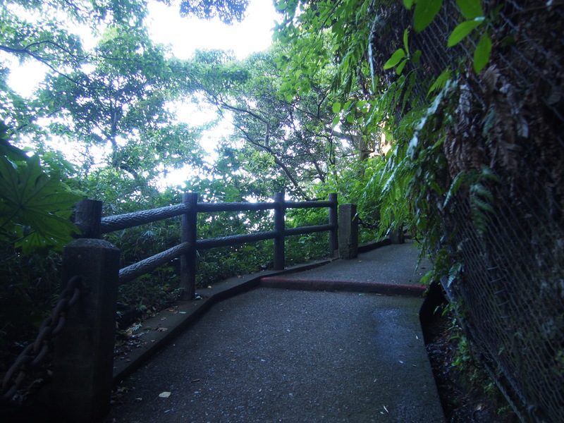 観音崎灯台への道のりは森の中のように静かです。