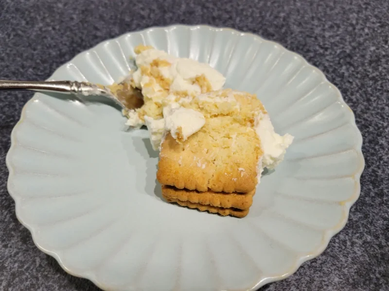 ギリシャヨーグルトで6時間置いたココナッツサブレのチーズケーキ風おやつ完成品